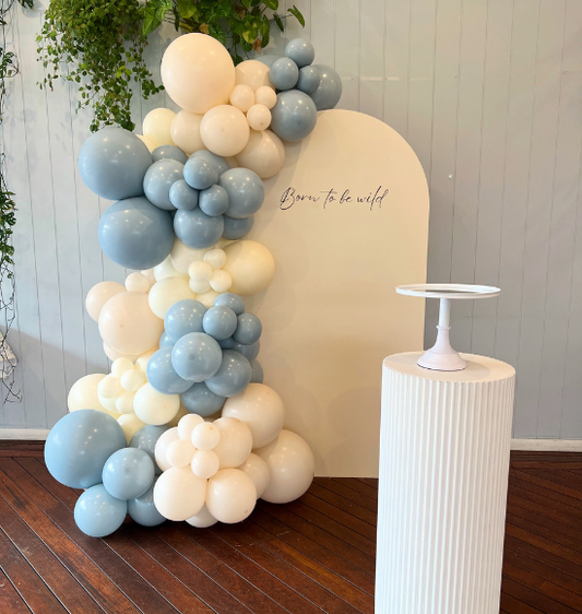 Nude backdrop Package